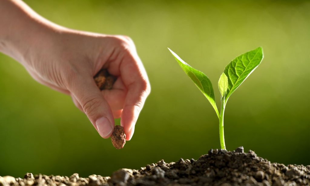 Plant Phenotyping Platform