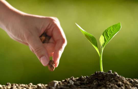 Plant Phenotyping Platform2